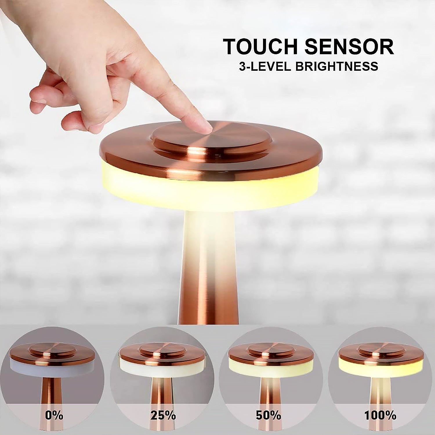 Touch LED Metal Desk Lamp (1 Pc)