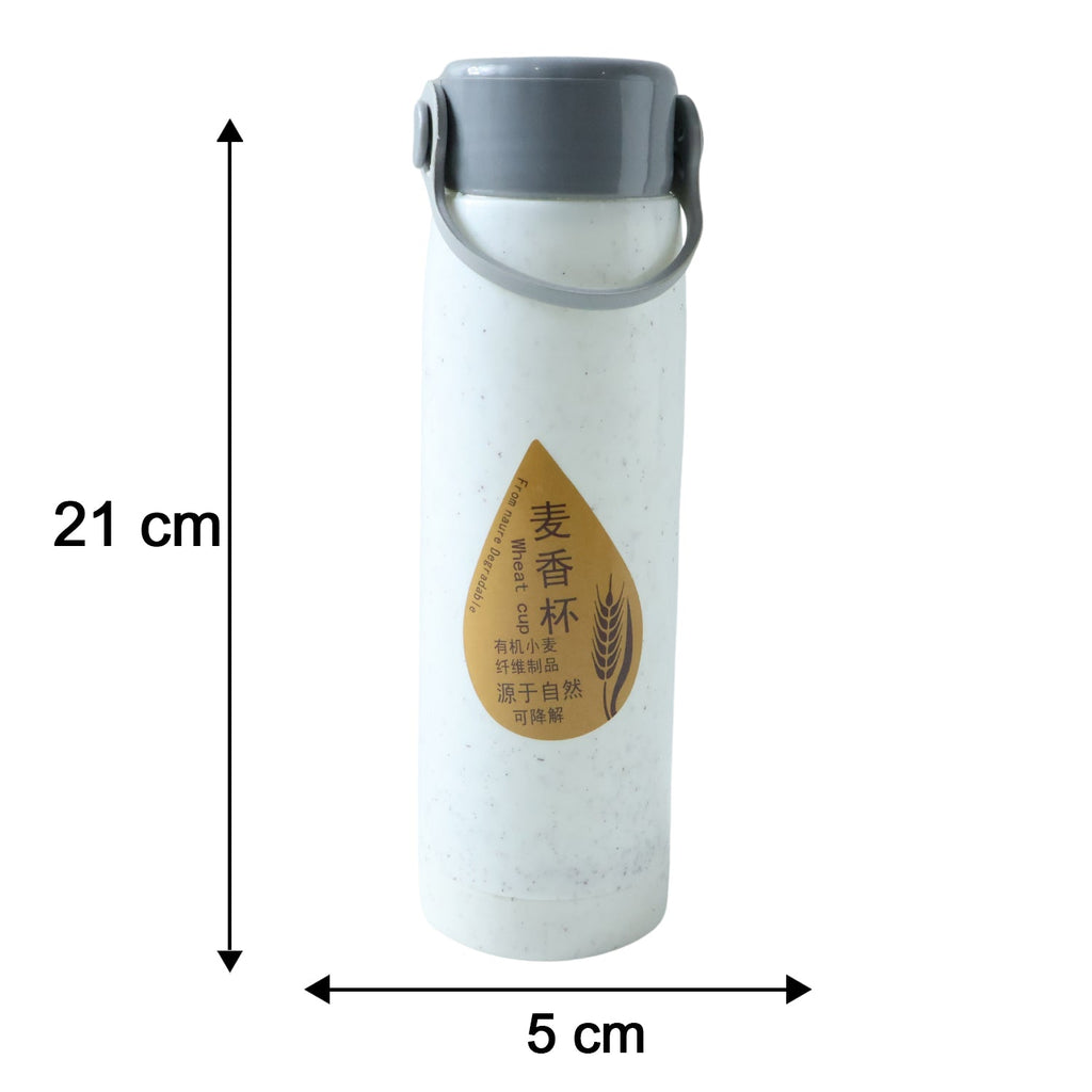 Premium Glass Water Bottle with Mobile Phone Holder (1 Pc, 380 ML)